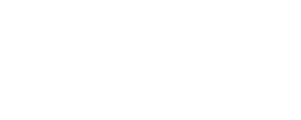mccain-logo-branca