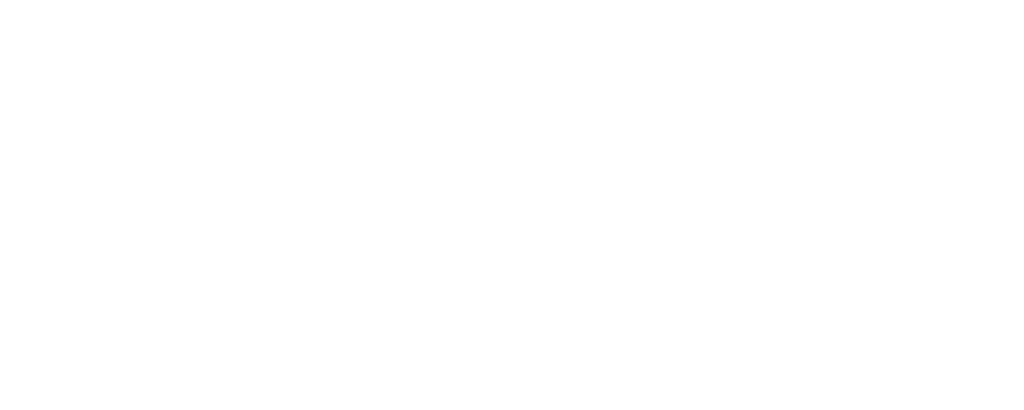 minasligas-logo-branca